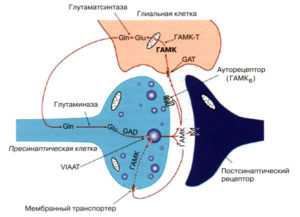 Комплекс для восстановления ГАМК системы