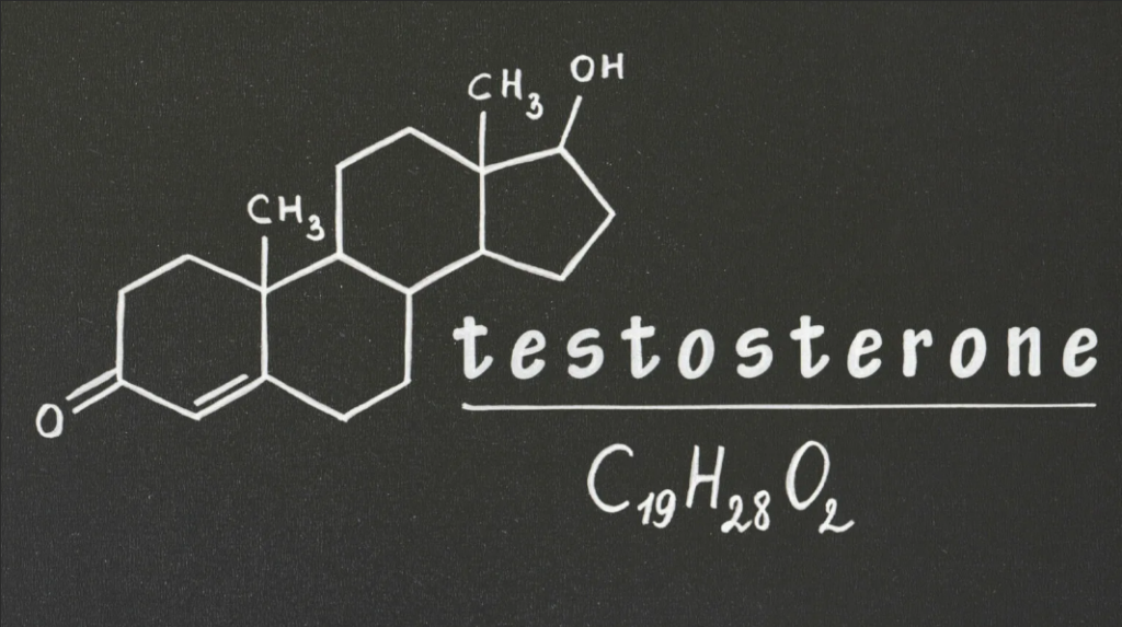 Так выглядит химическое строение молекулы тестостерона